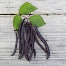 Cowpea Vegetable Seeds for Planting, heirloom & Non-GMO Seeds